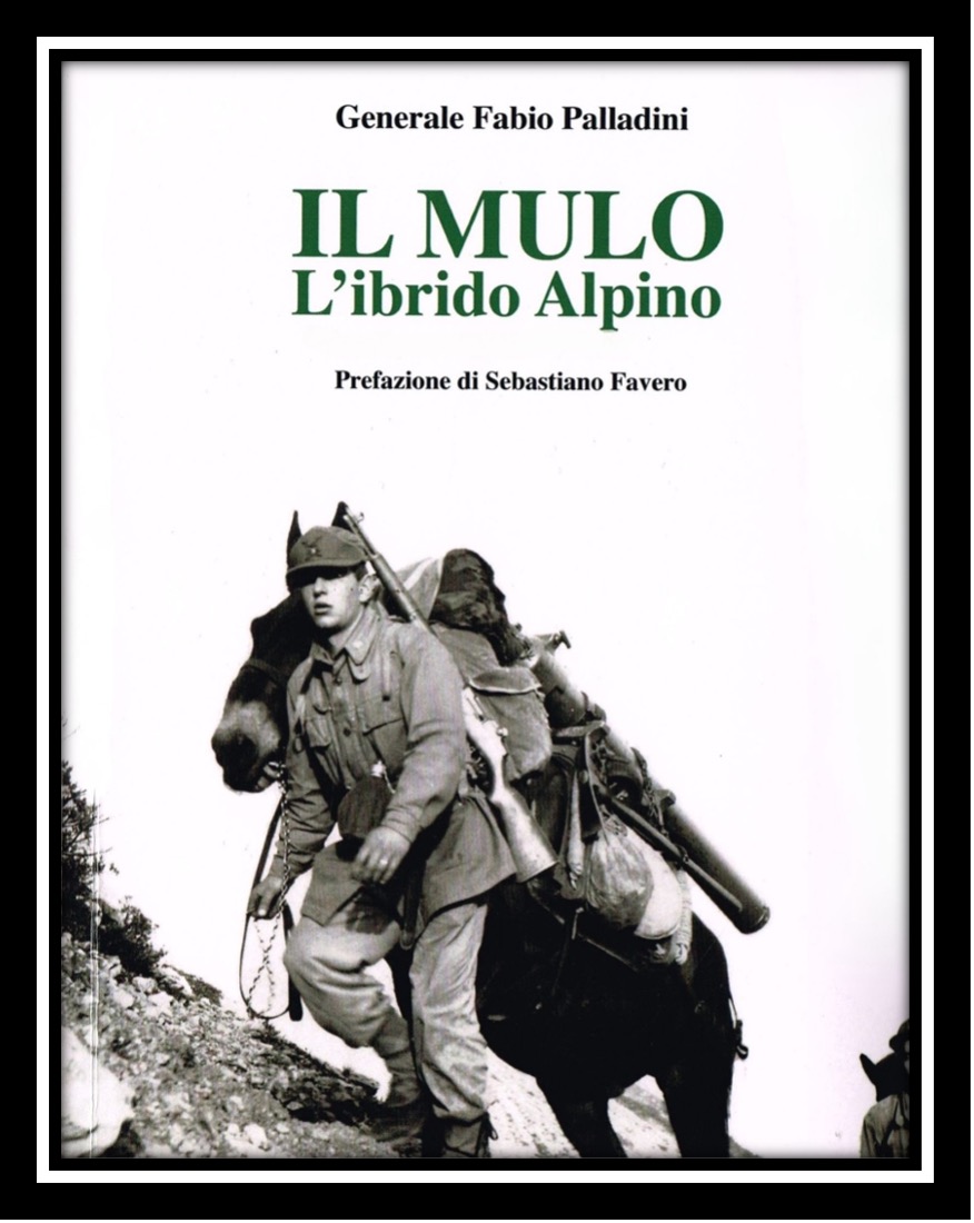 Presentazione libro “IL MULO L’ibrido Alpino”